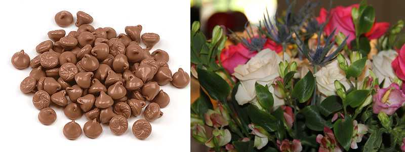 Flower and chocolate specials